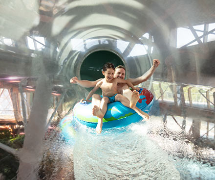 Wild Water Slide