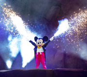 Walt Disney World Resort in Florida Now Available for Arrivals in 2024!